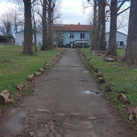 Grosse 3 Zi Wohnung Auf Der Pferde Farm Lahr  Bagian luar foto