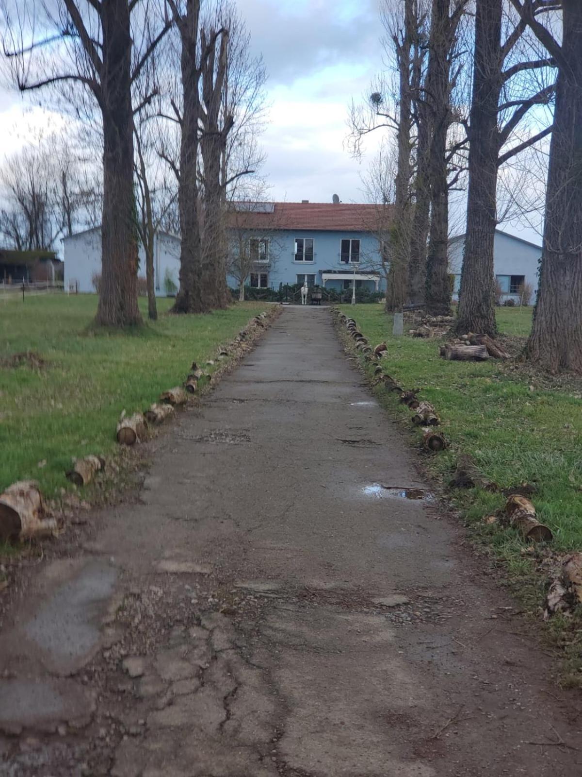 Grosse 3 Zi Wohnung Auf Der Pferde Farm Lahr  Bagian luar foto